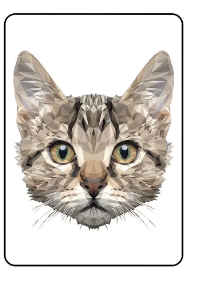 Protective Case Cover For Samsung Galaxy Tab S8 Plus 12.4 Inch Cat Face